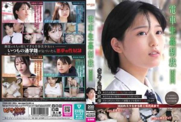 YDNS-003 電車生姦制裁 ＃003封面