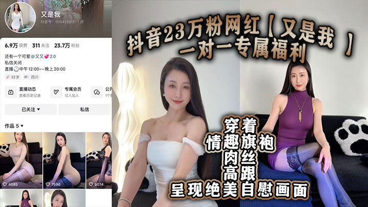 抖音23万粉网红又是我一对一专属福利穿.着情趣旗袍肉丝高跟呈现绝美自慰画面封面