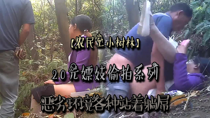 农民工小树林20元嫖妓偷拍系.列恶劣环境各种站着躺屌对白清晰封面