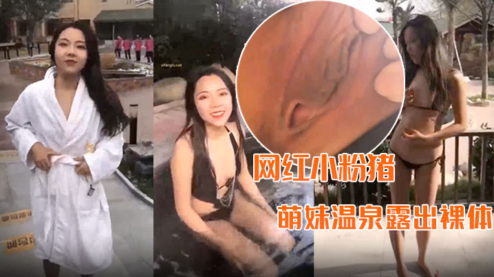 精品推荐网红小粉猪西萌工作室流出萌妹温泉露出裸体.问路车内自慰封面