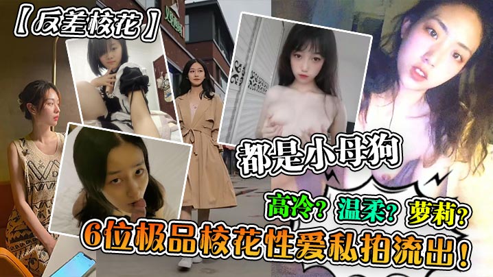 反差校花6位极品校花性爱私拍流出高冷温柔萝莉都是.小母狗封面