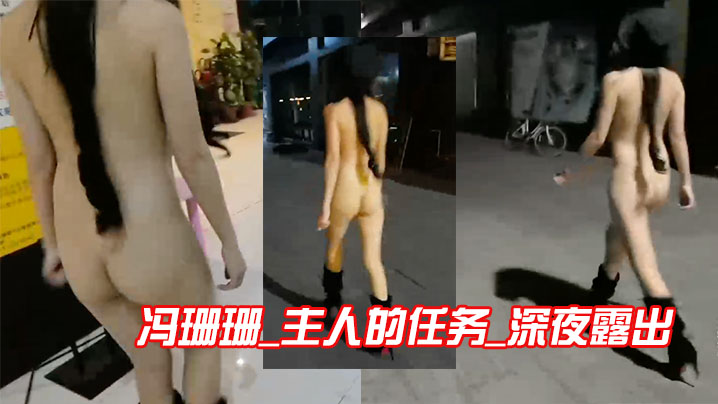 冯珊珊_主人的任务_深夜露出.封面