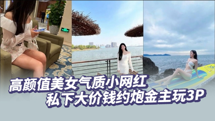 高颜值美女气质小网红私下大价钱约炮金主玩3P大哥.肏的太生猛了把套子都干漏了封面