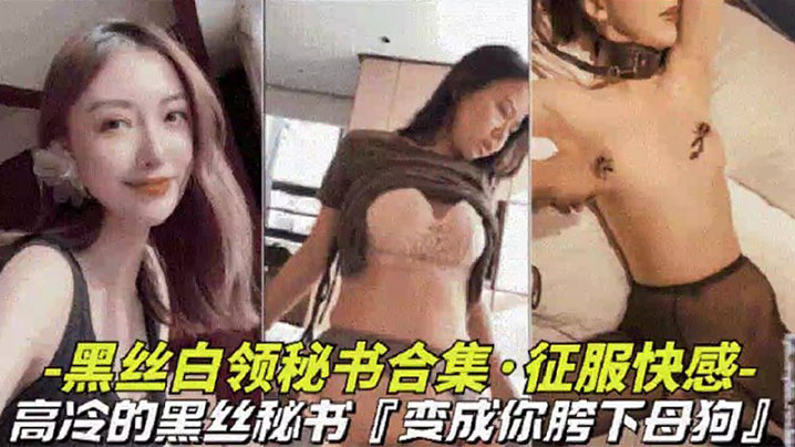 黑丝白领秘书大合集高冷黑丝秘书变成胯下母狗视觉上.的享受封面