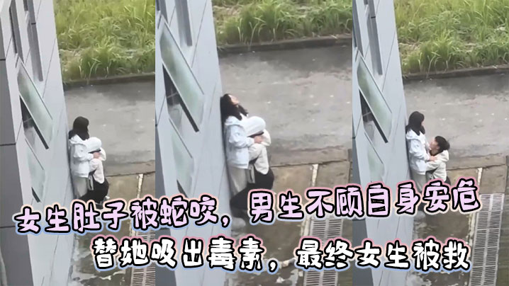 女生肚子被蛇咬男生不顾自身安危替她吸出毒素最终女.生被救封面