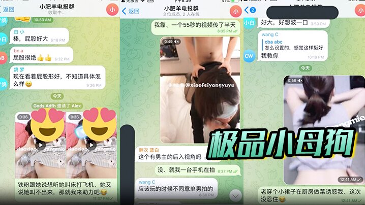极品小母狗绿帽骚妻是小肥羊呀私拍约炮单男3P前后.夹击高潮插到痉挛封面