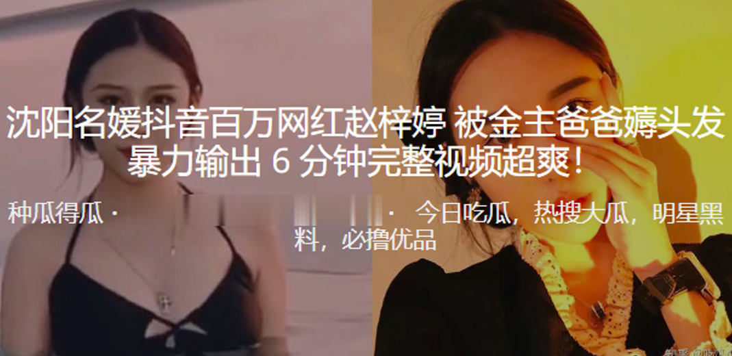 沈阳名媛抖音百万网红赵梓婷被金主爸爸薅头发暴力输.出超爽封面